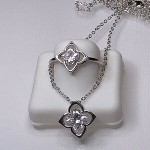 Silver over Stainless Steel Moissanite Ring and Necklace
9 ring 16 necklace